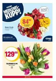 Coop Extra kundeavis uke 3 Side 24
