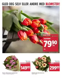 Meny kundeavis uke 3 Side 11