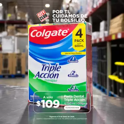 Catálogo City Club (válido hasta 15-01)