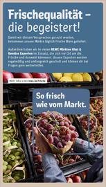 REWE Prospekt woche 3 Seite 24