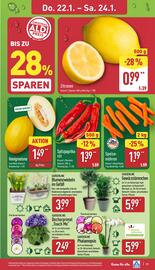 Aldi Nord Prospekt woche 4 Seite 25