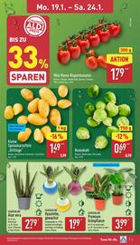 Aldi Nord Prospekt woche 4 Seite 3