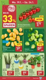 Aldi Nord Prospekt woche 4 Seite 3