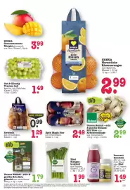 Scheck-in-Center Prospekt woche 3 Seite 15