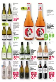 Scheck-in-Center Prospekt woche 3 Seite 29