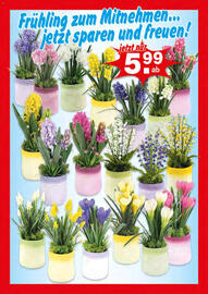 Krümet Sonderposten Prospekt woche 4 Seite 2