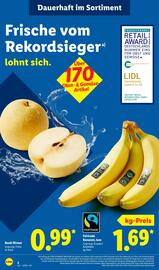 Lidl Prospekt woche 4 Seite 4