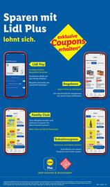 Lidl Prospekt woche 4 Seite 59