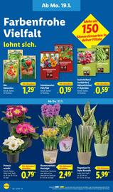 Lidl Prospekt woche 4 Seite 60