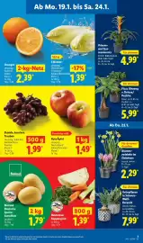Lidl Prospekt woche 4 Seite 5