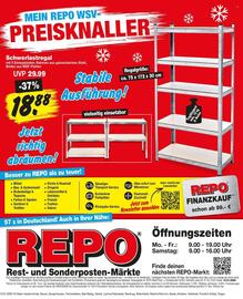 Repo Markt Prospekt woche 3 Seite 16