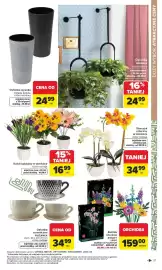 Carrefour gazetka Strona 21