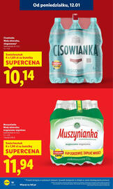 Lidl gazetka Strona 10