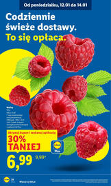 Lidl gazetka Strona 20