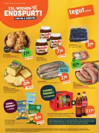 Basic Prospekt Seite 1