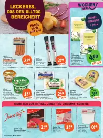 Basic Prospekt Seite 13