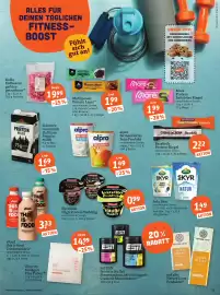 Basic Prospekt Seite 15