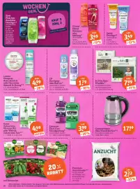 Basic Prospekt Seite 20