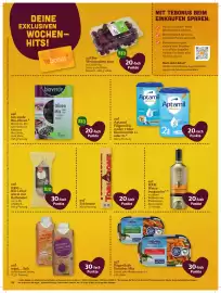 Basic Prospekt Seite 22