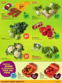 Basic Prospekt Seite 4