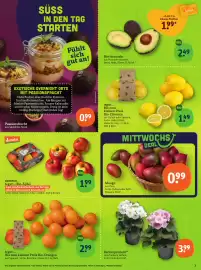 Basic Prospekt Seite 5