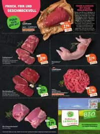 Basic Prospekt Seite 7