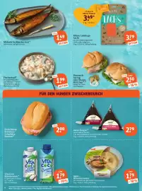 Basic Prospekt Seite 8