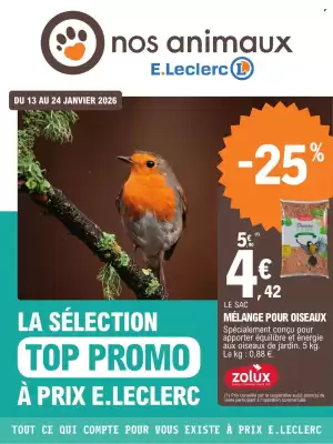 Catalogue E.Leclerc (valable jusqu'au 24-01)