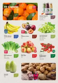 Dornseifer Prospekt woche 3 Seite 5