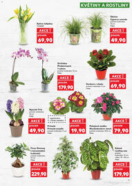 Kaufland leták týden 3 Strana 11