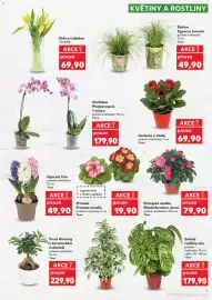 Kaufland leták týden 3 Strana 11