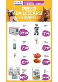 Volantino Ayoka Pagina 12