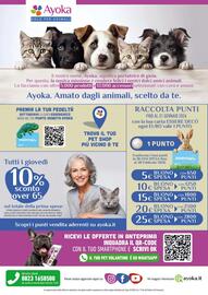 Volantino Ayoka Pagina 8