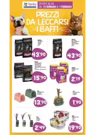 Volantino Ayoka Pagina 11