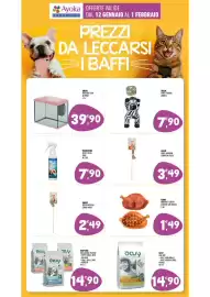 Volantino Ayoka Pagina 12