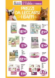 Volantino Ayoka Pagina 13