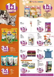 Volantino Ayoka Pagina 2