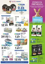 Volantino Ayoka Pagina 3