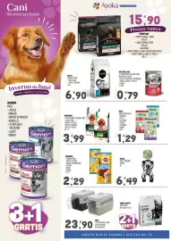 Volantino Ayoka Pagina 4