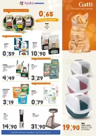 Volantino Ayoka Pagina 5
