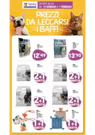 Volantino Ayoka Pagina 9