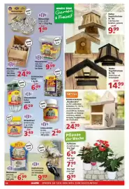 Multi Markt Prospekt woche 3 Seite 18