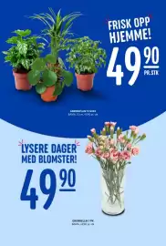 Rema 1000 uke 3 Side 23