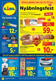 Lidl tilbudsavis uge 3 Side 1