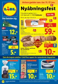 Lidl tilbudsavis uge 3 Side 1