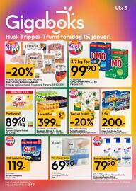 Gigaboks kundeavis uke 3 Side 1