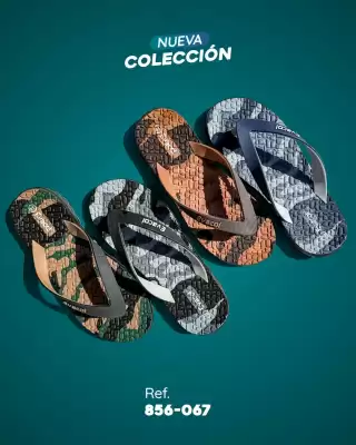 Catálogo Evacol (válido hasta 17-01)