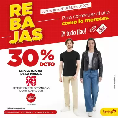 Catálogo Flamingo (válido hasta 1-02)