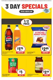 IGA catalogue Page 2