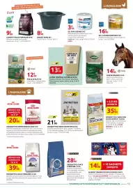 Catalogue Rural Master page 13